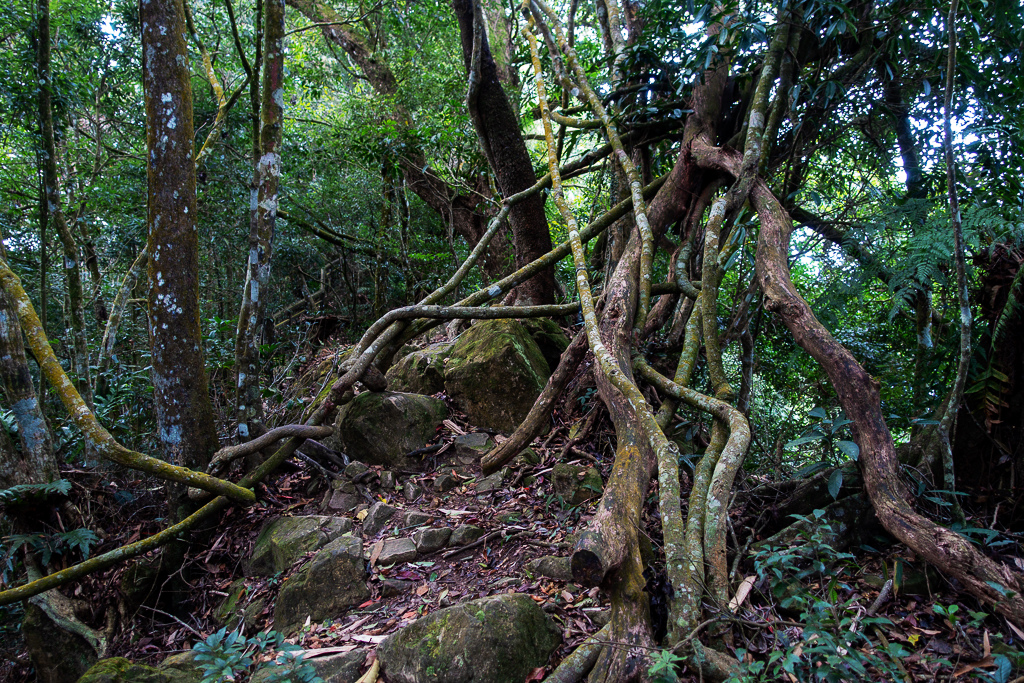 DSC09568.jpg DSC09568.jpg