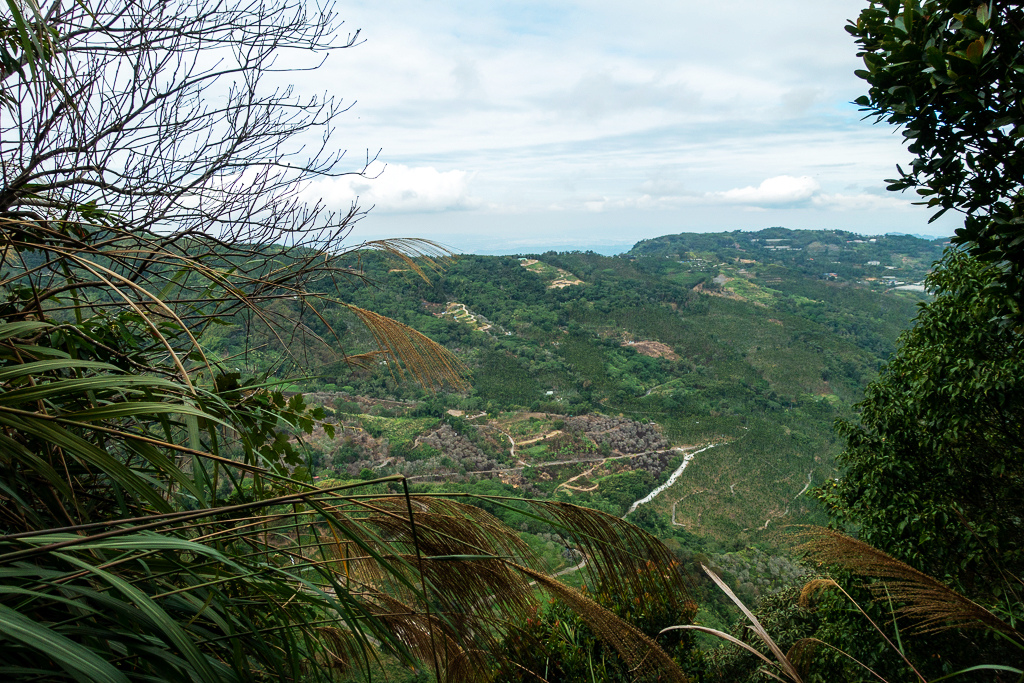 DSC09569.jpg DSC09569.jpg