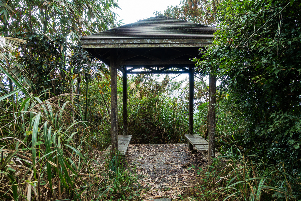 DSC09575.jpg DSC09575.jpg