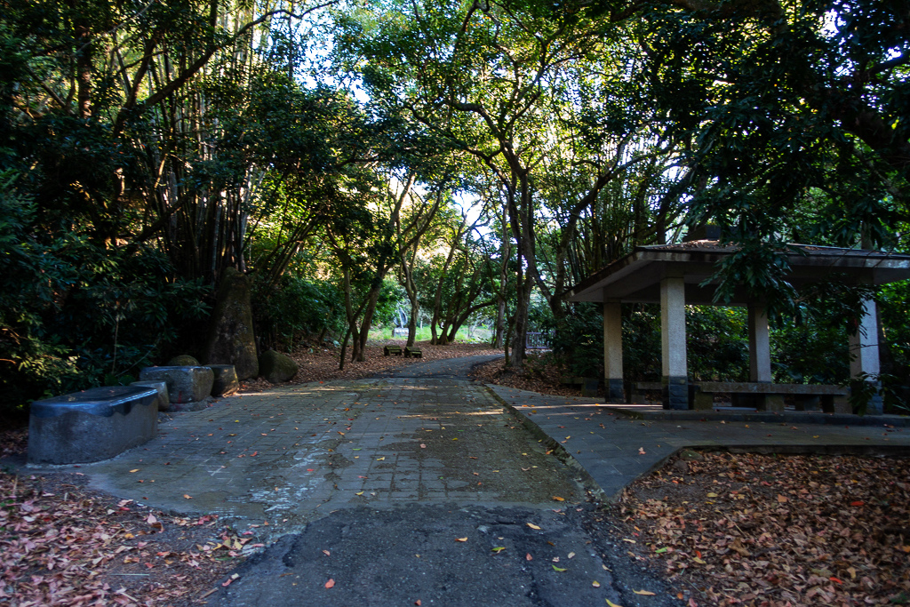 DSC09648.jpg DSC09648.jpg