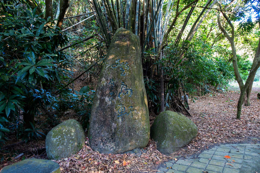 DSC09649.jpg DSC09649.jpg