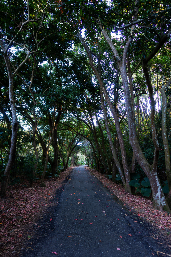 DSC09651.jpg DSC09651.jpg