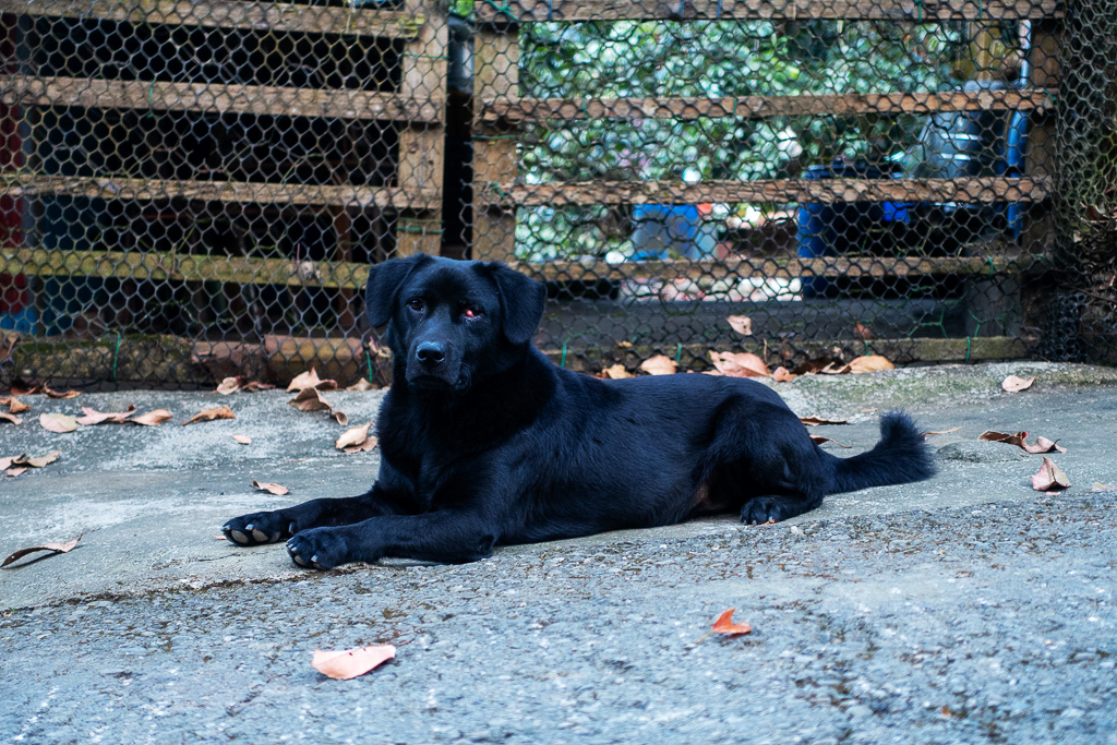 DSC09655.jpg DSC09655.jpg