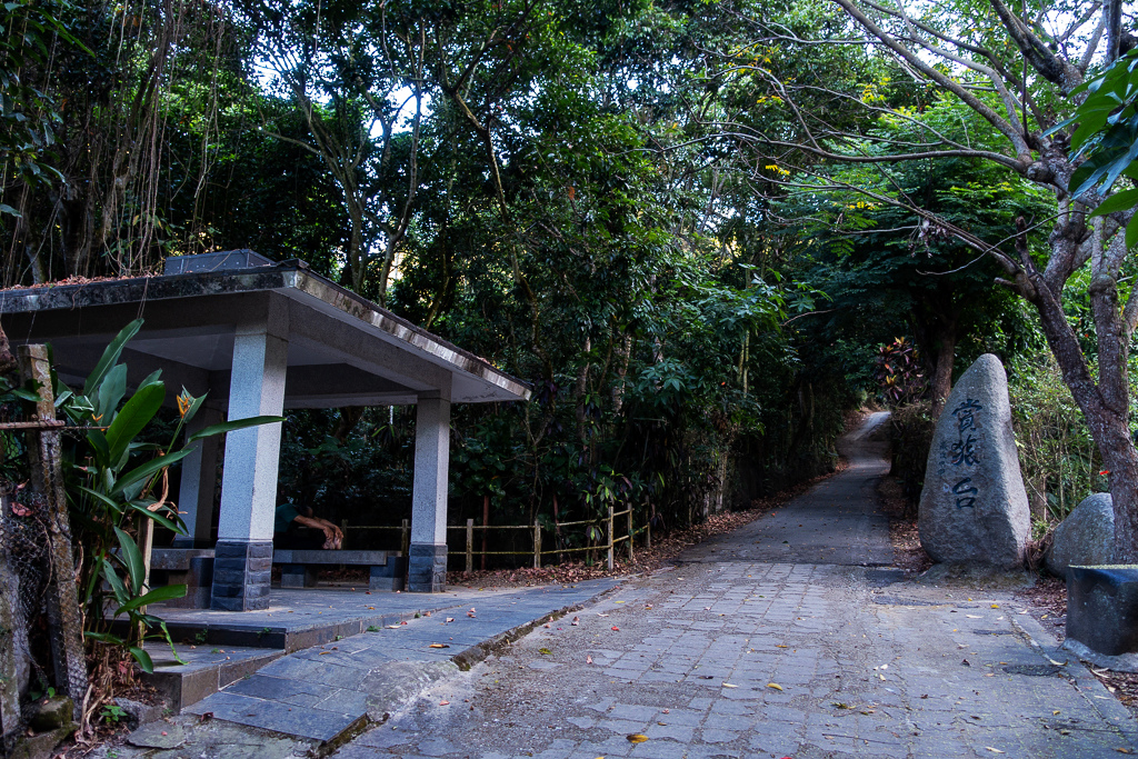 DSC09656.jpg DSC09656.jpg