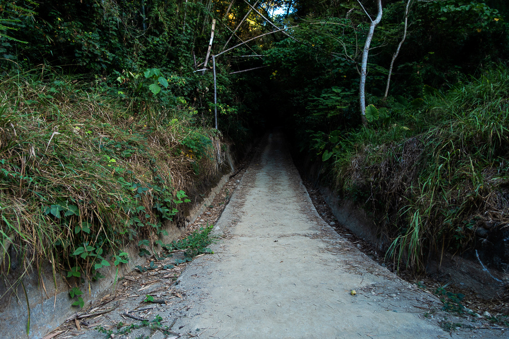 DSC09659.jpg DSC09659.jpg