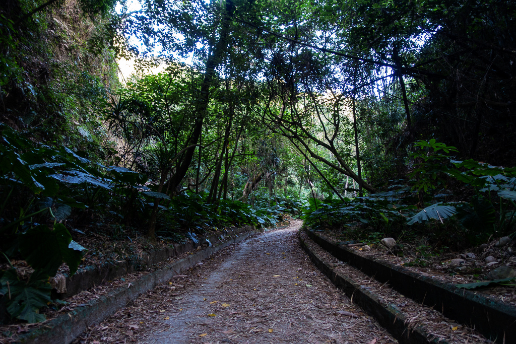 DSC09660.jpg DSC09660.jpg