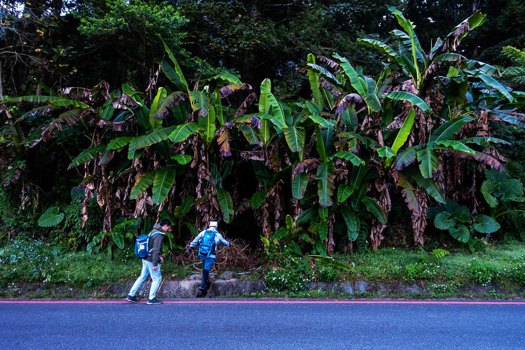 DSC09742.jpg DSC09742.jpg