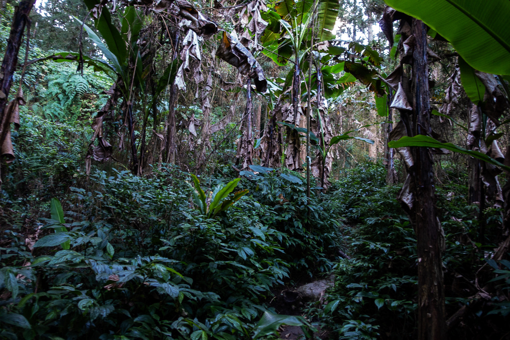 DSC09745.jpg DSC09745.jpg