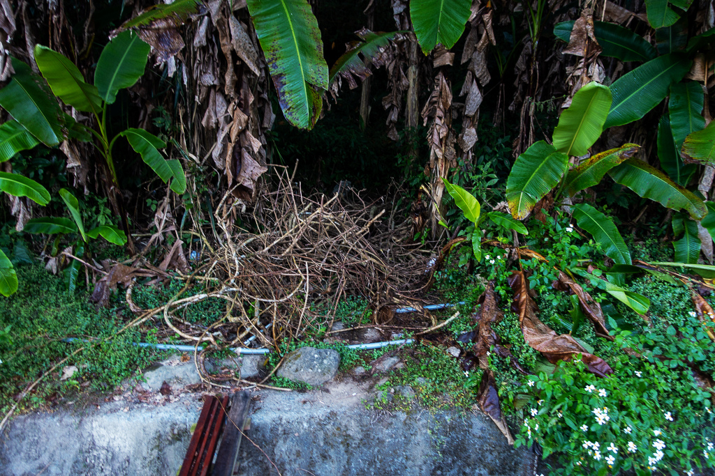 DSC09744.jpg DSC09744.jpg