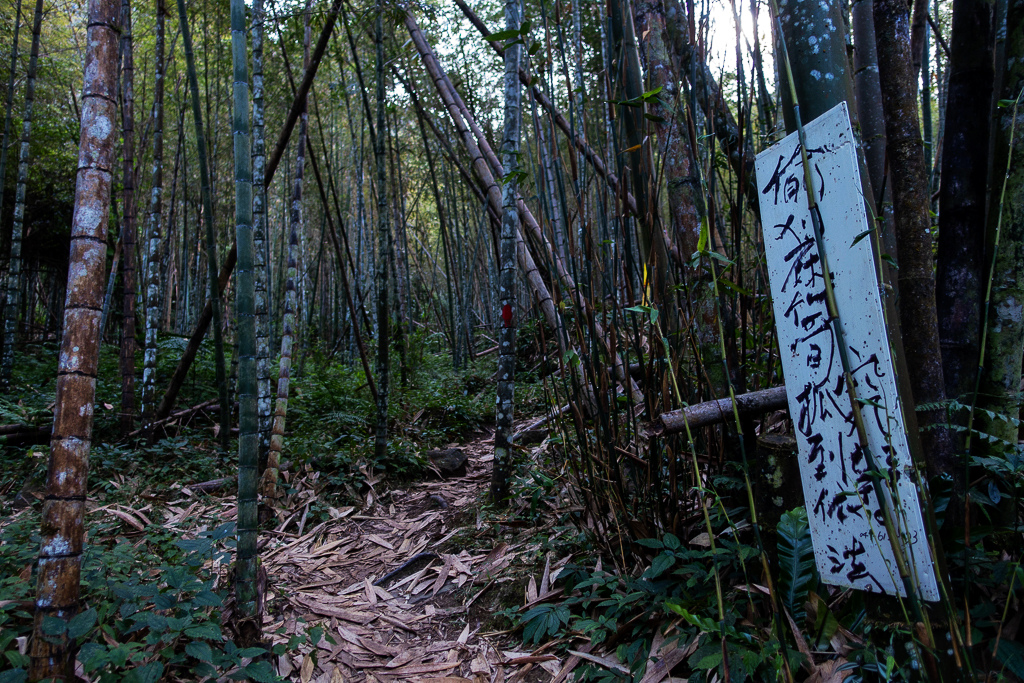 DSC09747.jpg DSC09747.jpg