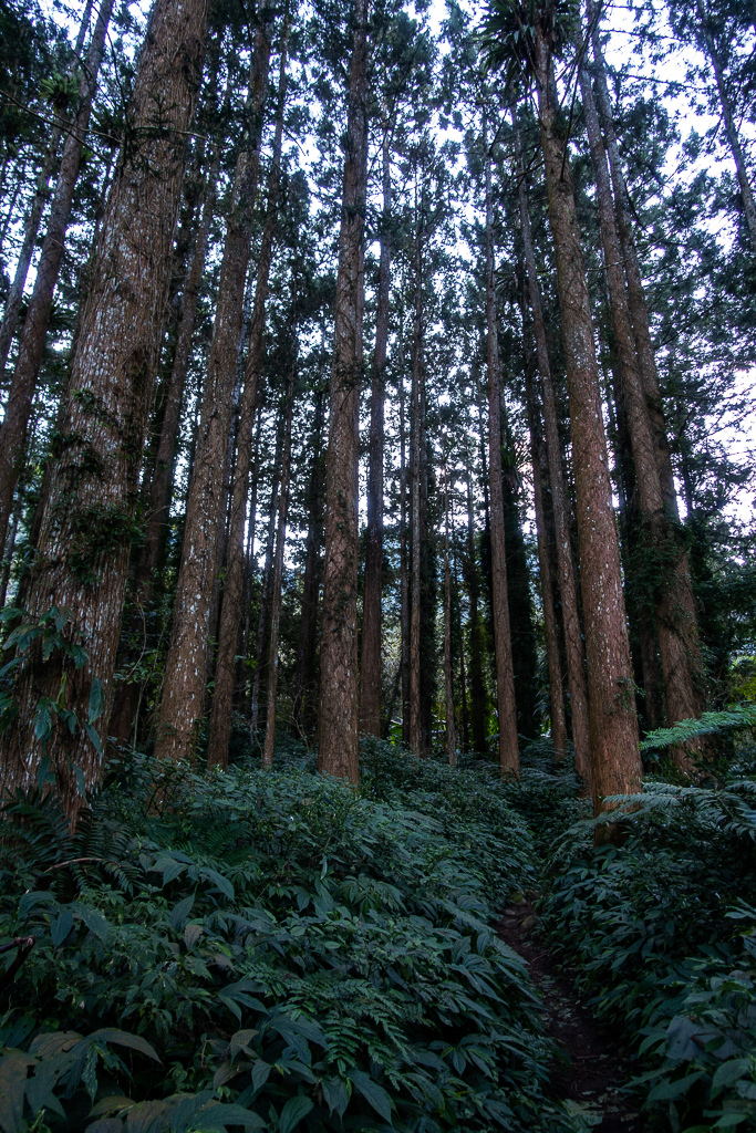 DSC09746.jpg DSC09746.jpg