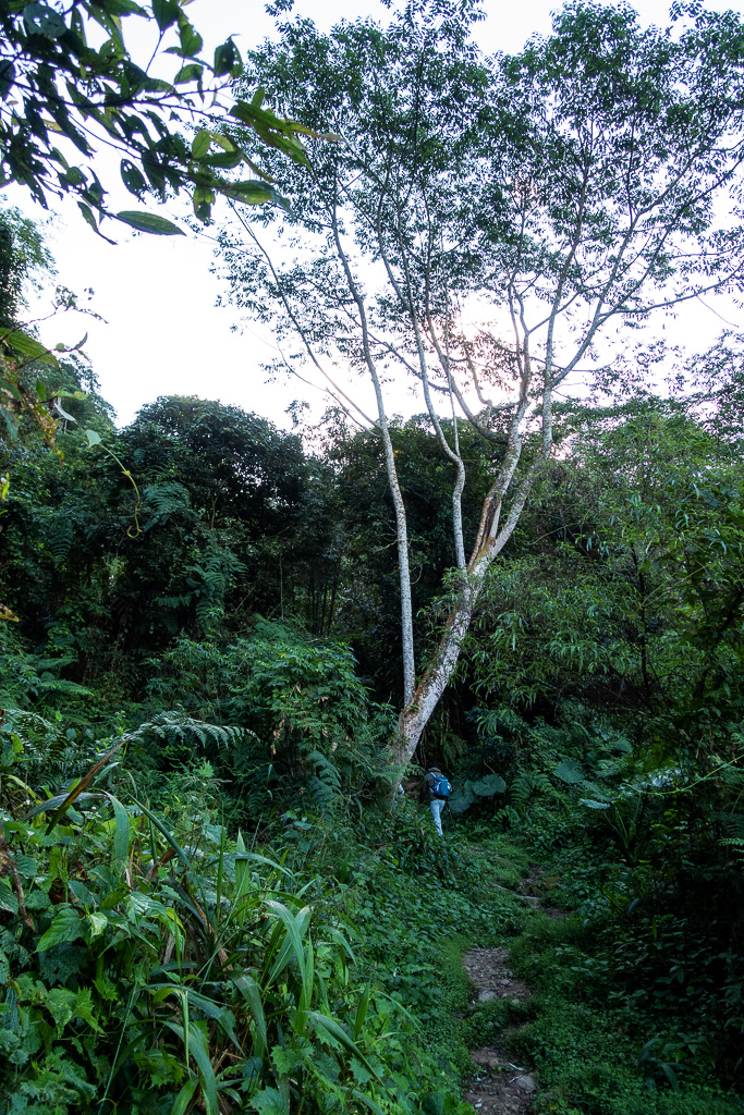 DSC09750.jpg DSC09750.jpg