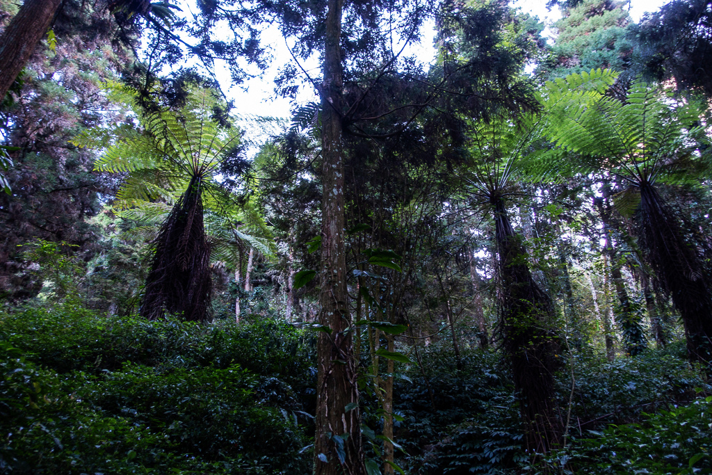 DSC09748.jpg DSC09748.jpg