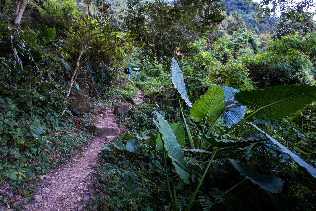 DSC09749.jpg DSC09749.jpg