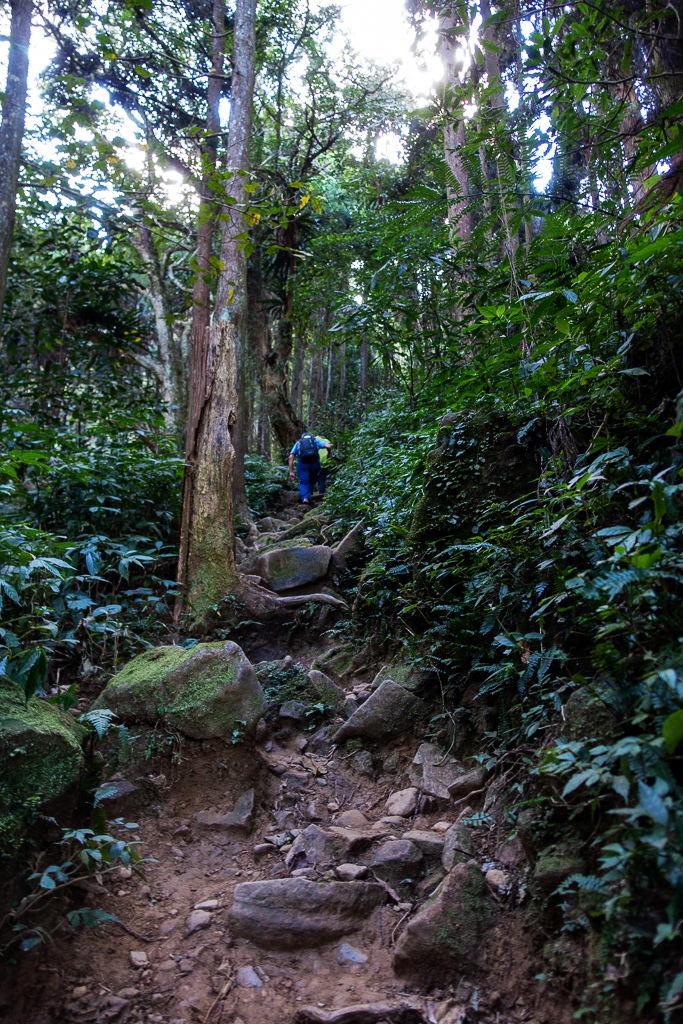 DSC09755.jpg DSC09755.jpg