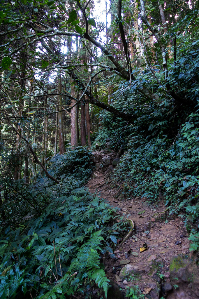 DSC09754.jpg DSC09754.jpg