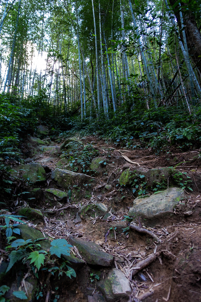 DSC09756.jpg DSC09756.jpg