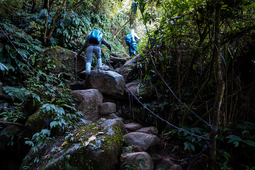 DSC09752.jpg DSC09752.jpg