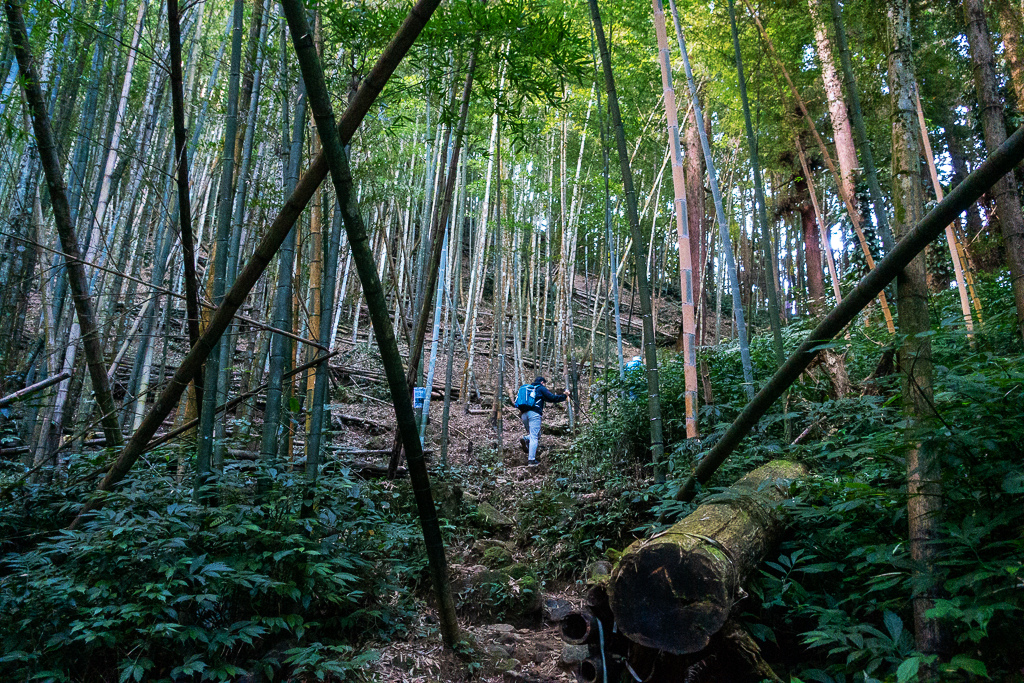 DSC09758.jpg DSC09758.jpg