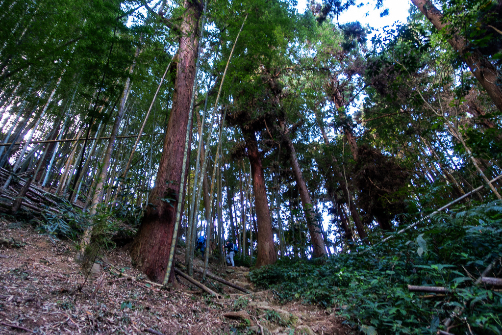 DSC09760.jpg DSC09760.jpg