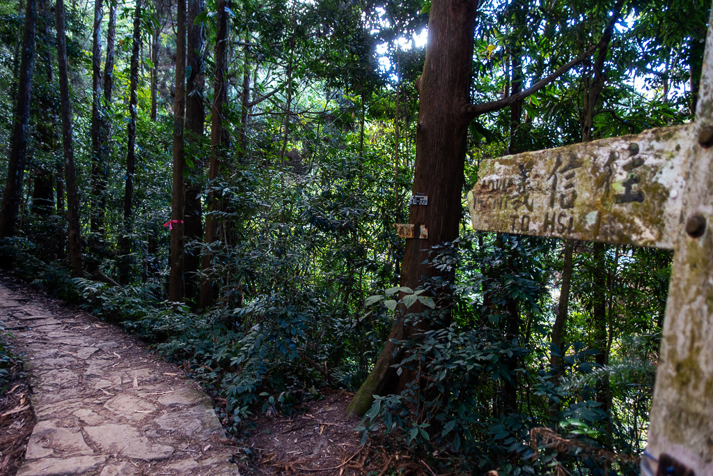 DSC09764.jpg DSC09764.jpg