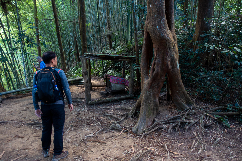 DSC09765.jpg DSC09765.jpg