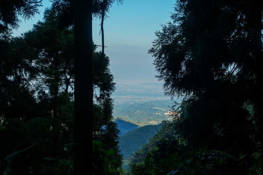 DSC09769.jpg DSC09769.jpg