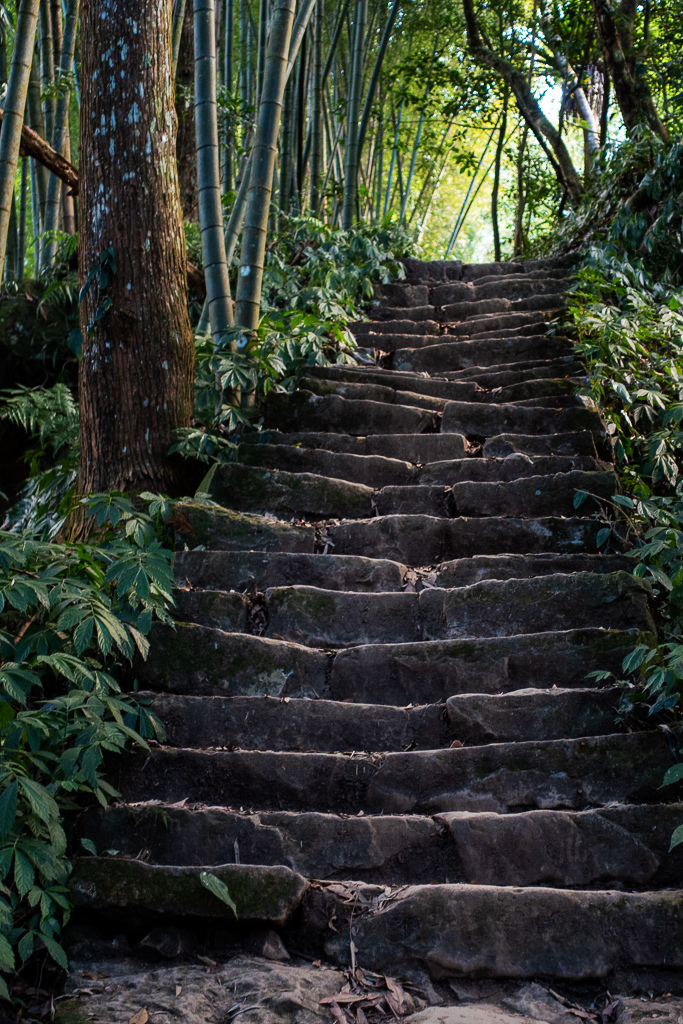 DSC09767.jpg DSC09767.jpg