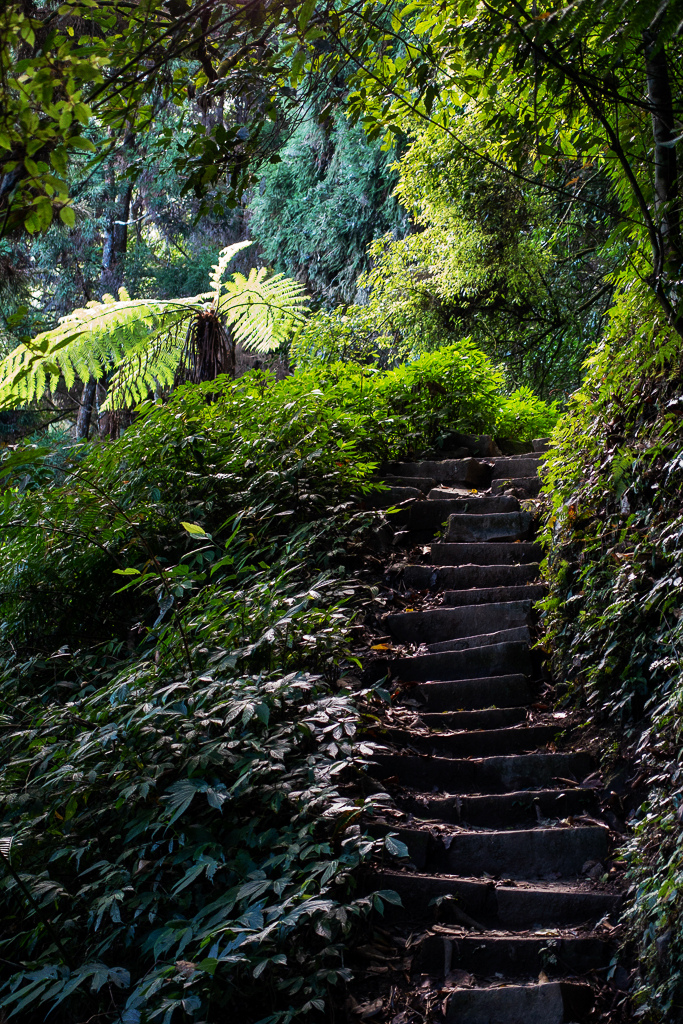 DSC09770.jpg DSC09770.jpg