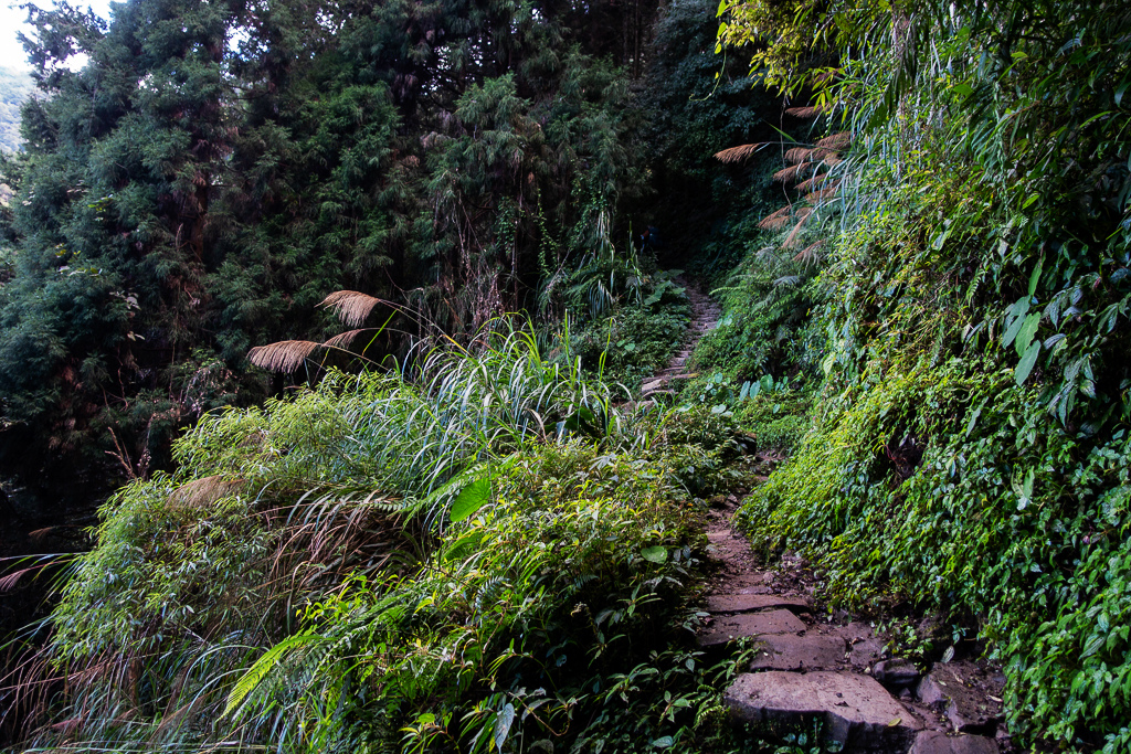 DSC09772.jpg DSC09772.jpg