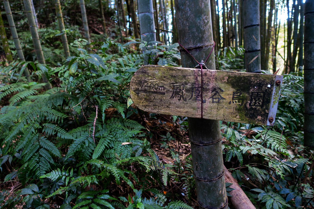 DSC09778.jpg DSC09778.jpg