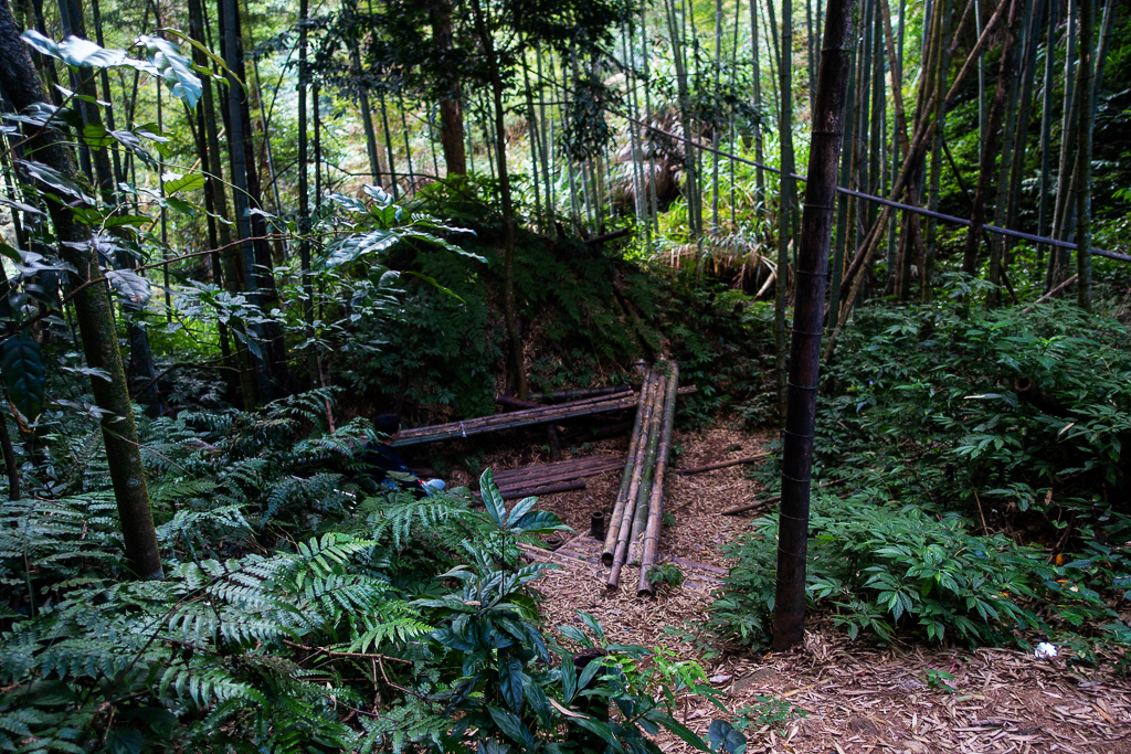 DSC09779.jpg DSC09779.jpg