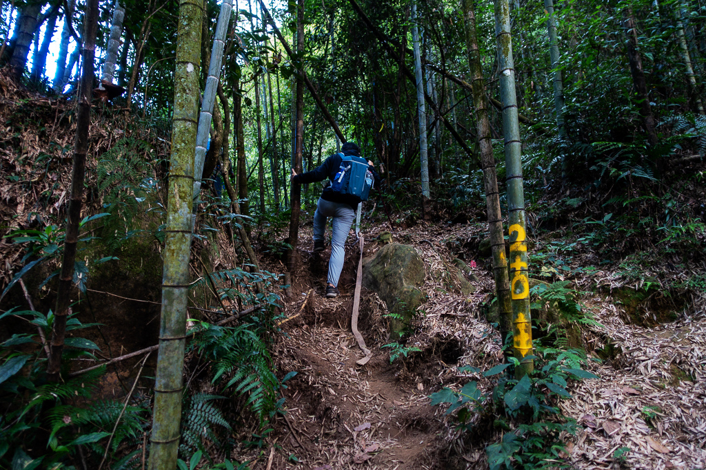 DSC09782.jpg DSC09782.jpg