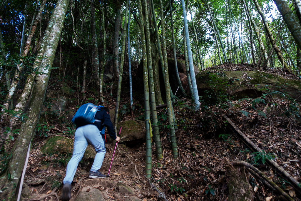 DSC09783.jpg DSC09783.jpg