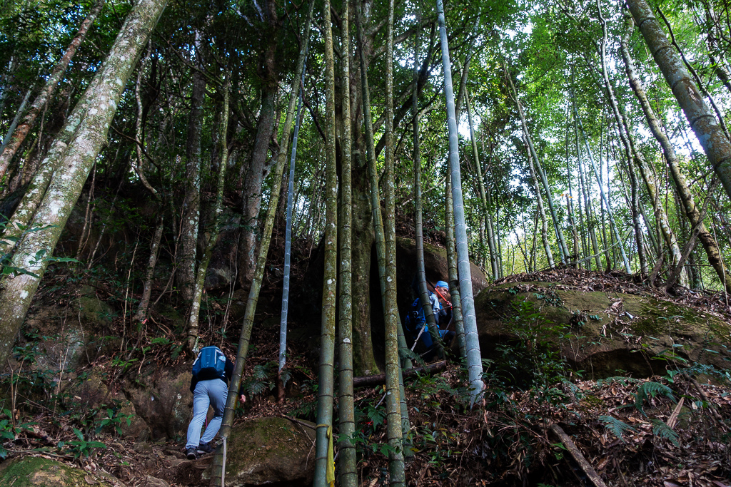 DSC09785.jpg DSC09785.jpg