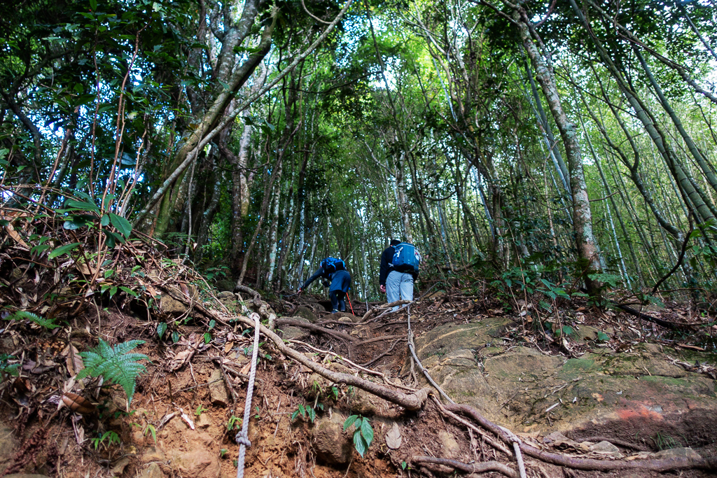 DSC09786.jpg DSC09786.jpg