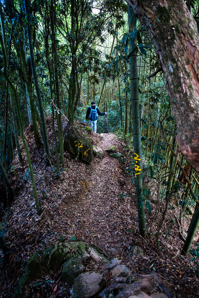 DSC09787.jpg DSC09787.jpg