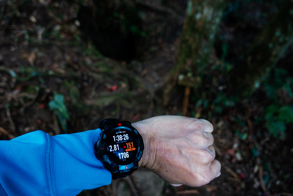 DSC09790.jpg DSC09790.jpg