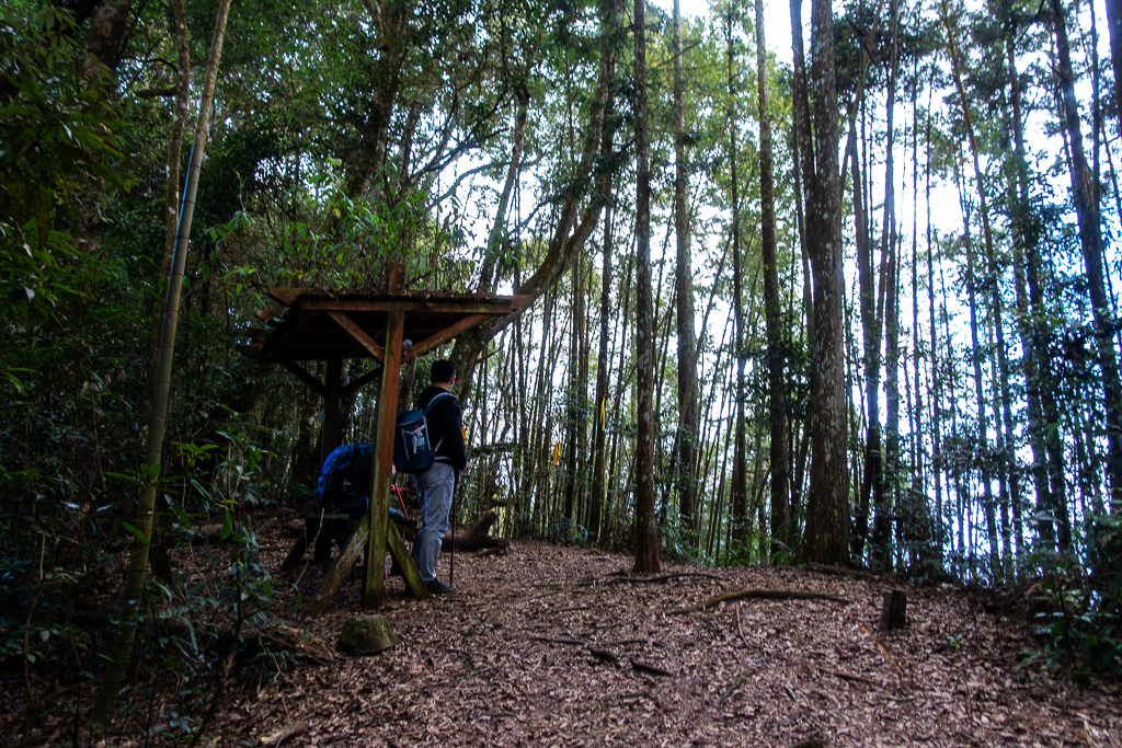 DSC09788.jpg DSC09788.jpg