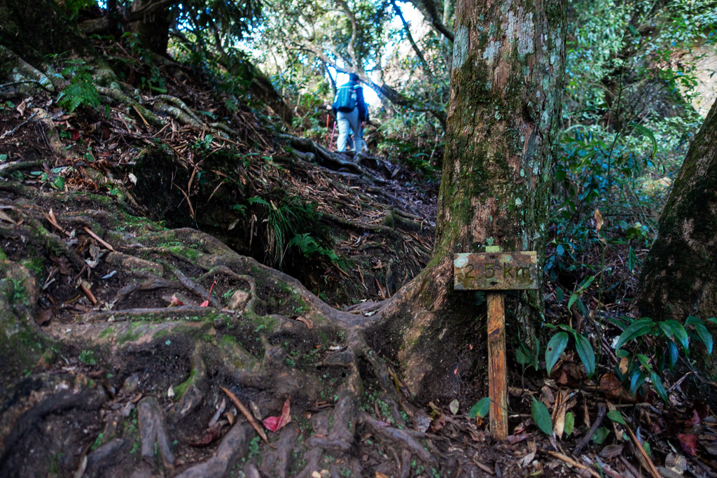 DSC09789.jpg DSC09789.jpg