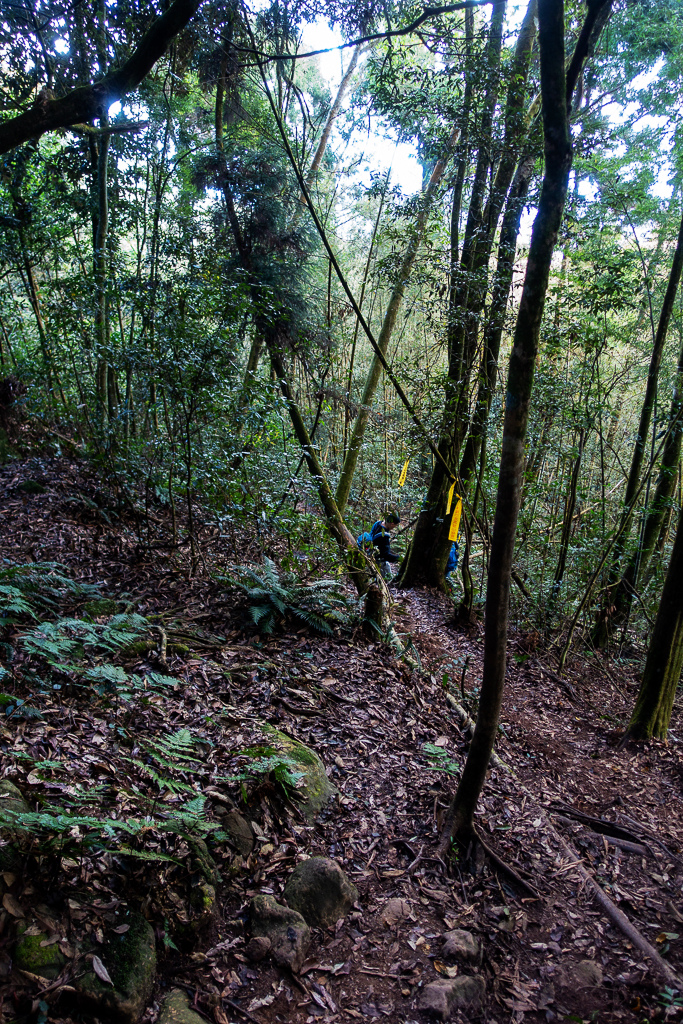 DSC09794.jpg DSC09794.jpg