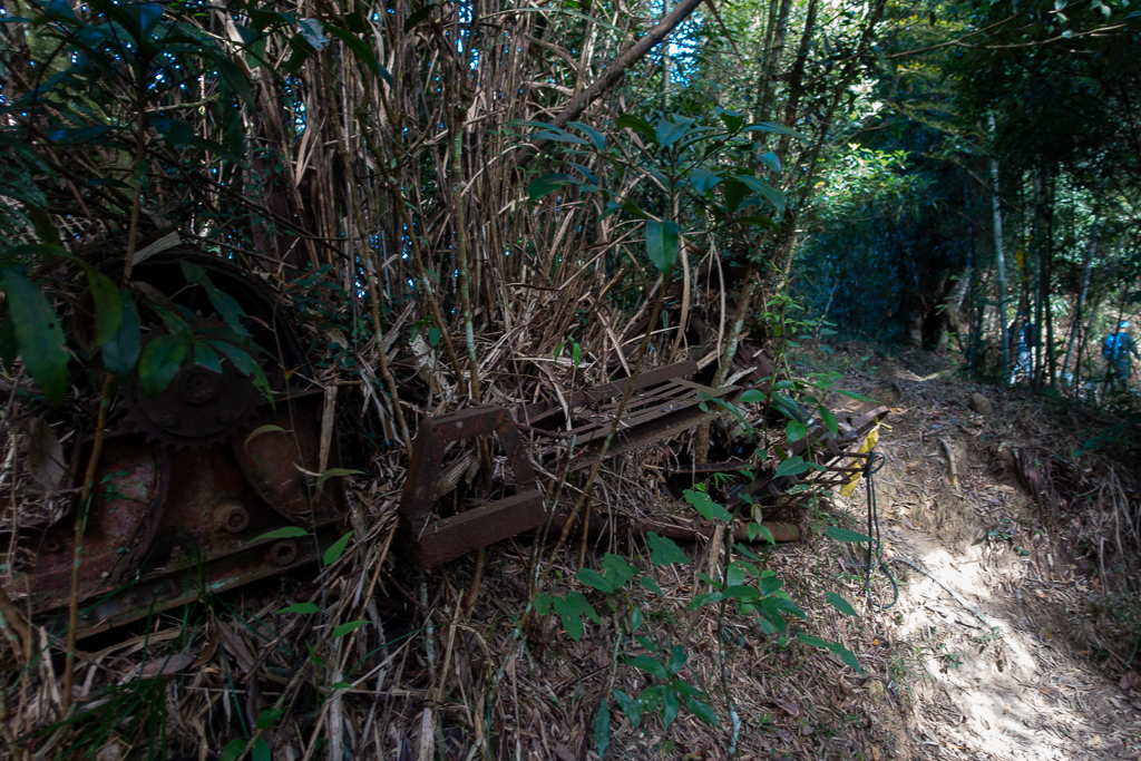 DSC09797.jpg DSC09797.jpg