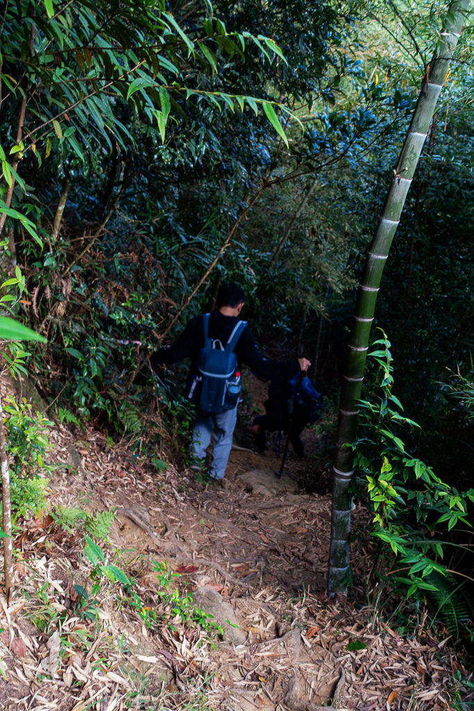 DSC09796.jpg DSC09796.jpg