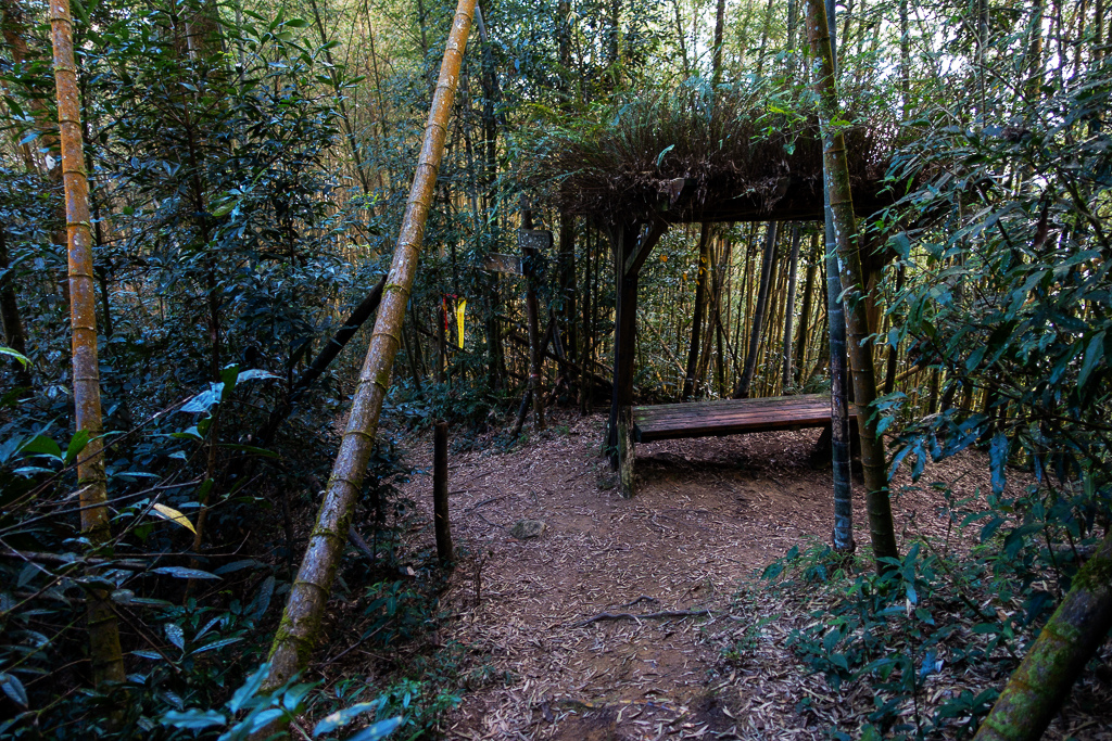 DSC09795.jpg DSC09795.jpg