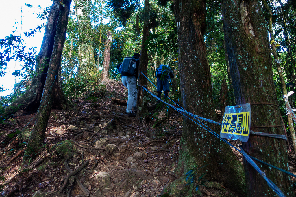 DSC09798.jpg DSC09798.jpg