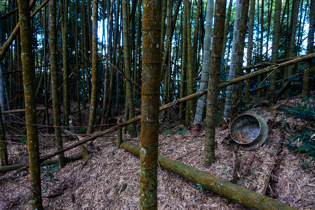 DSC09800.jpg DSC09800.jpg