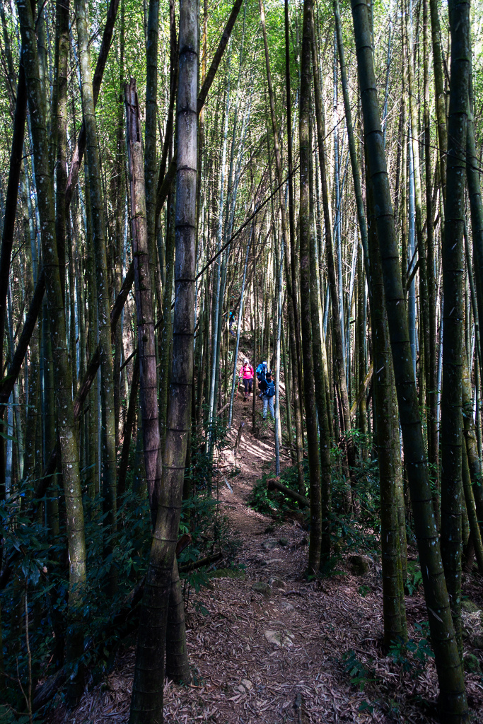 DSC09801.jpg DSC09801.jpg