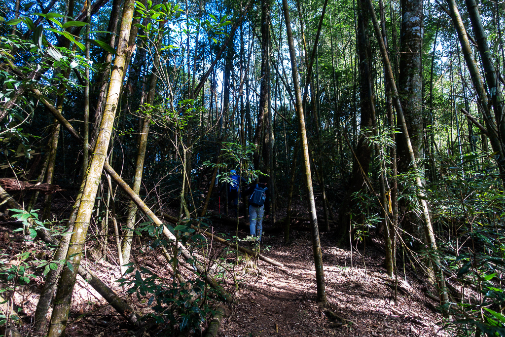 DSC09804.jpg DSC09804.jpg