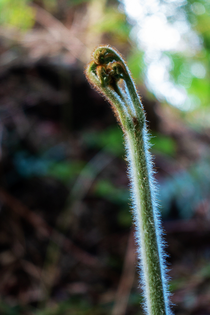 DSC09813.jpg DSC09813.jpg