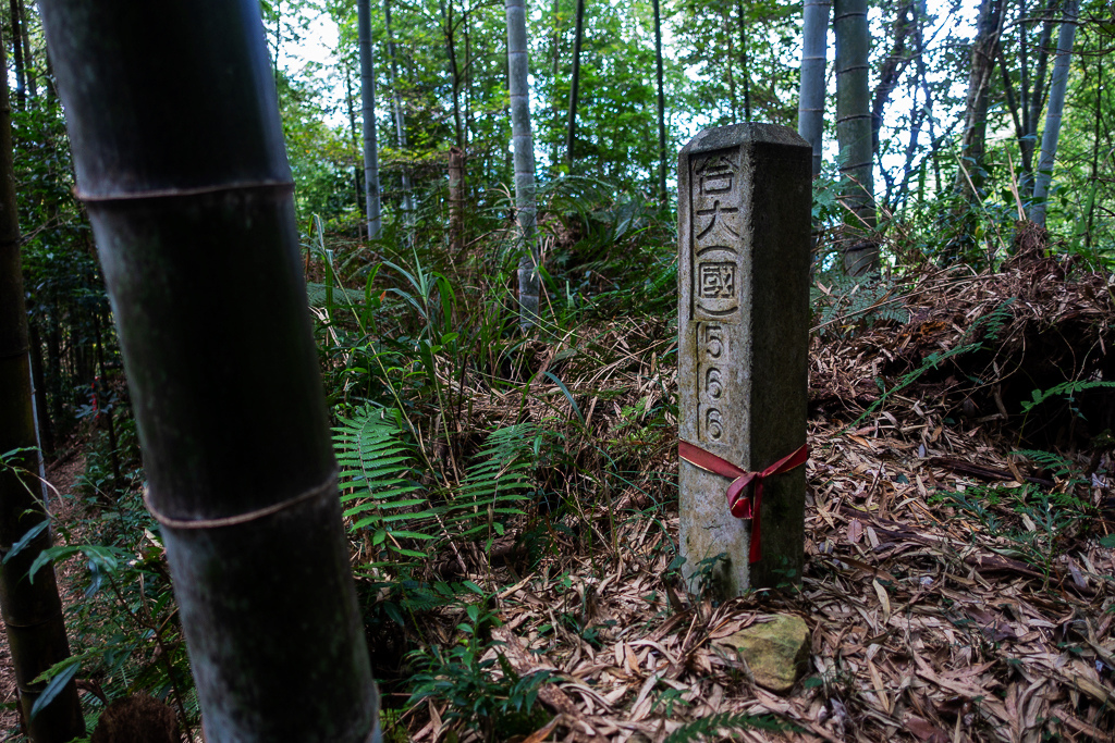 DSC09815.jpg DSC09815.jpg